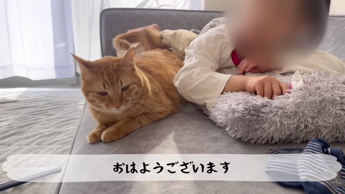 娘さんととらまる