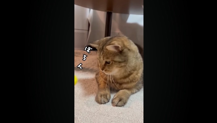 ぽろん
