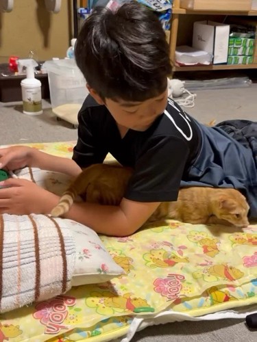 人の体の下から出てきた子猫