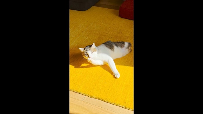 口元に手