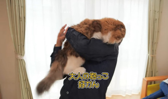 お父さんの抱っこから逃げようとする猫