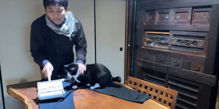 服の毛を取る飼い主と猫