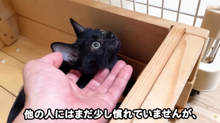 テロップ「他の人には～」