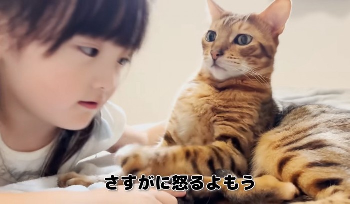 のけ反る猫