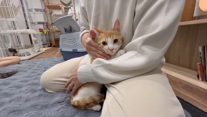 ぴったり