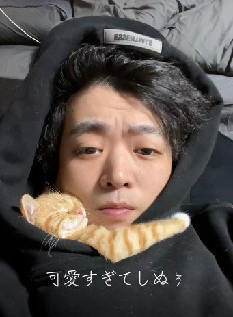 人に抱き着いて寝ている子猫