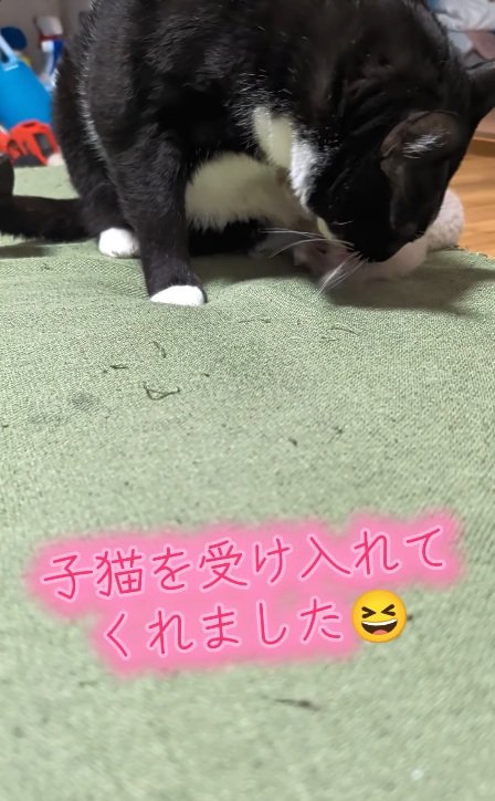 受け入れ