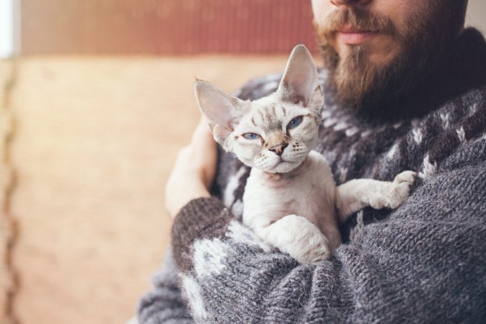 不満顔の猫