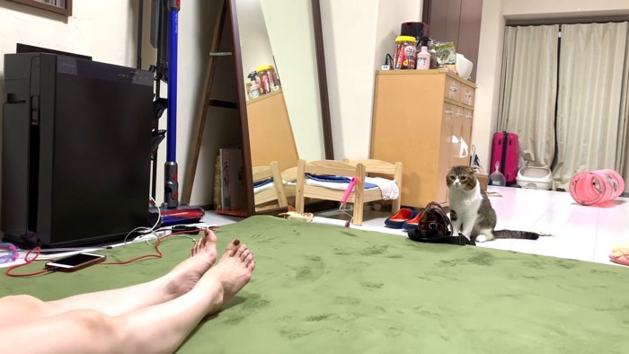 飼い主さんから離れて座る猫