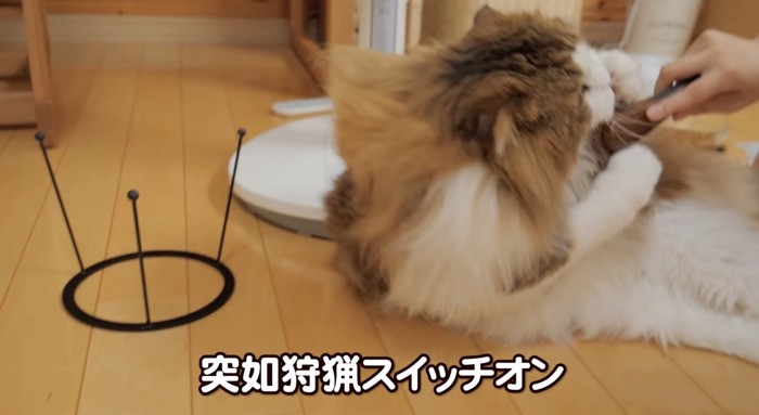 狩猟スイッチオン