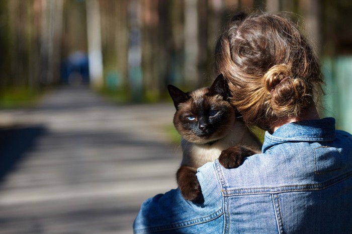 女性に抱かれる猫