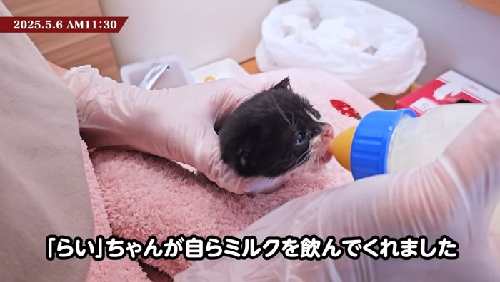 らいちゃんが自ら