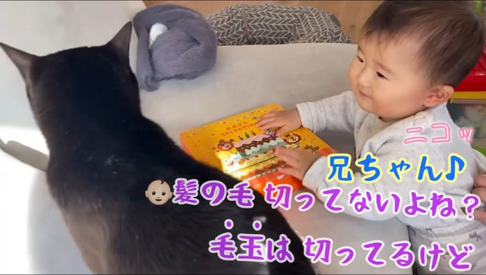 猫に笑いかける赤ちゃん