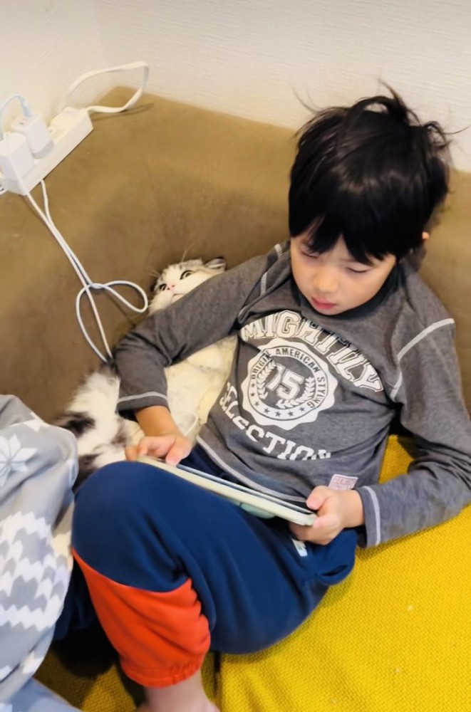 ソファでゲームをするお兄ちゃんの腕がマンチカンの首に乗っている