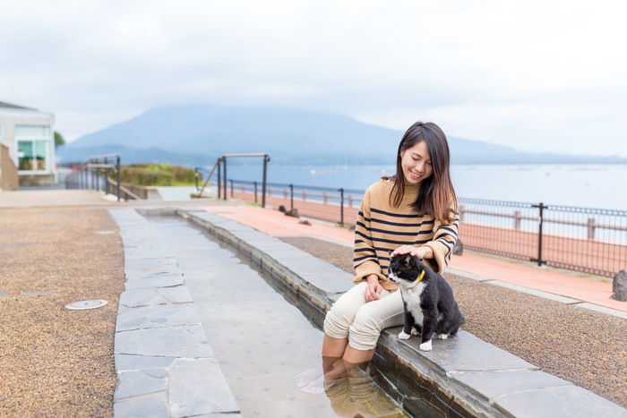 足湯につかる女性と猫