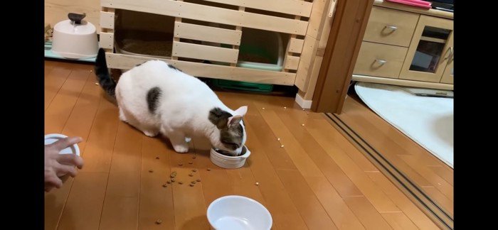 食べる