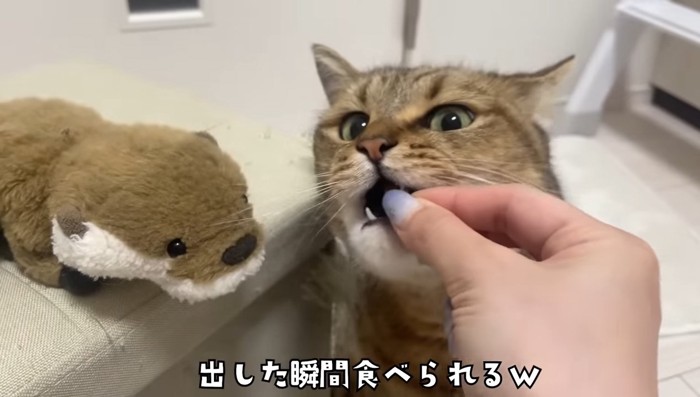 出した瞬間