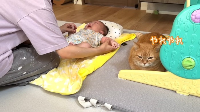 やれやれ
