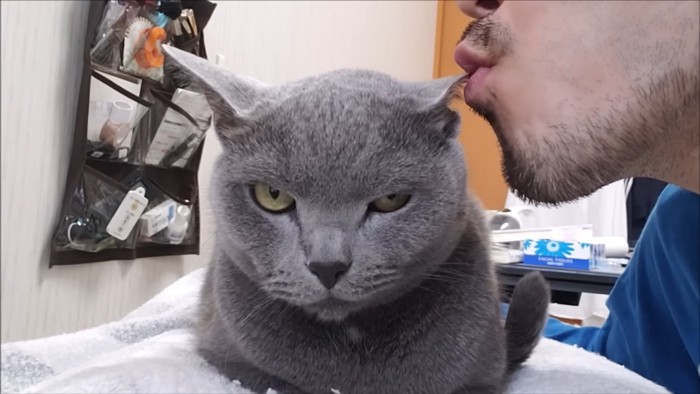 猫の耳にキスをする男性