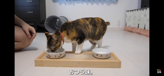 おつう味