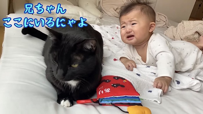 赤ちゃんの側に座る黒猫