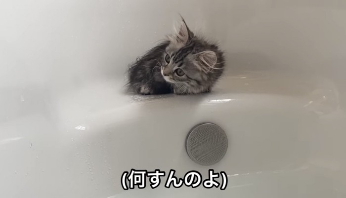 お風呂に入った華ちゃん