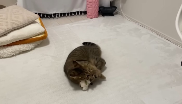 ケリケリするみにらくん