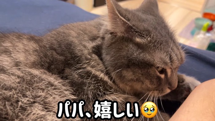 パパ、嬉しい