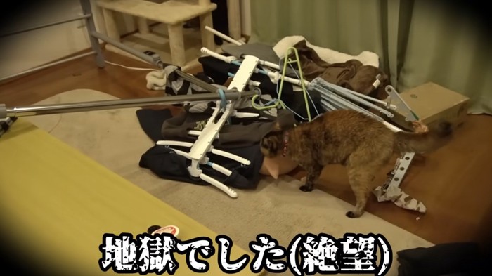 倒れているハンガーラックや洗濯物かけ