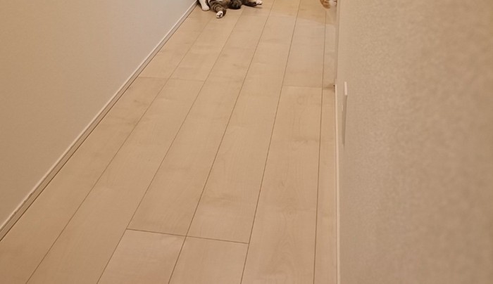 2階の廊下