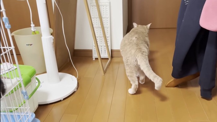 去って行くひのきちゃん