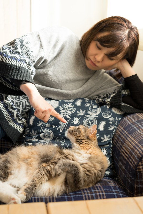 猫と飼い主さん