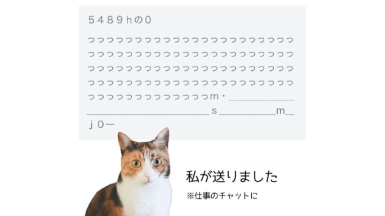 猫と文章