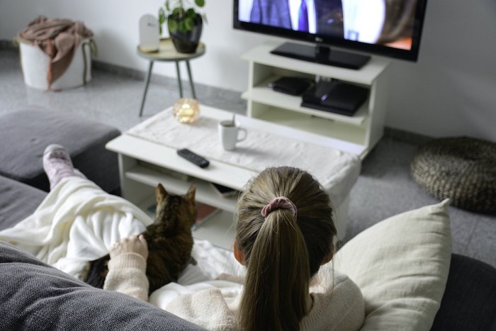 ソファーで猫を撫でながらテレビを観る飼い主