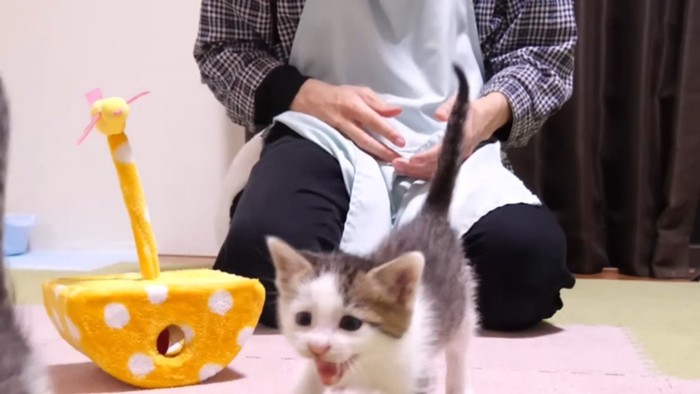 走ってくる姿