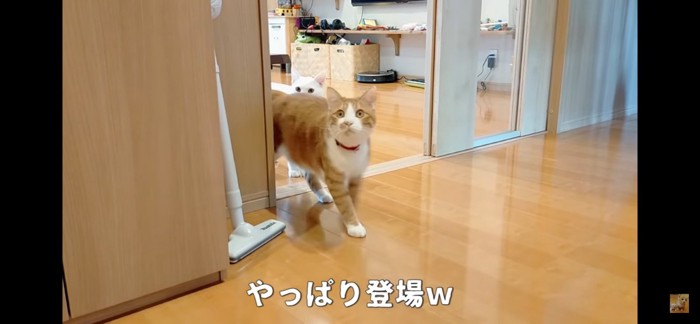 後ろからクラちゃん