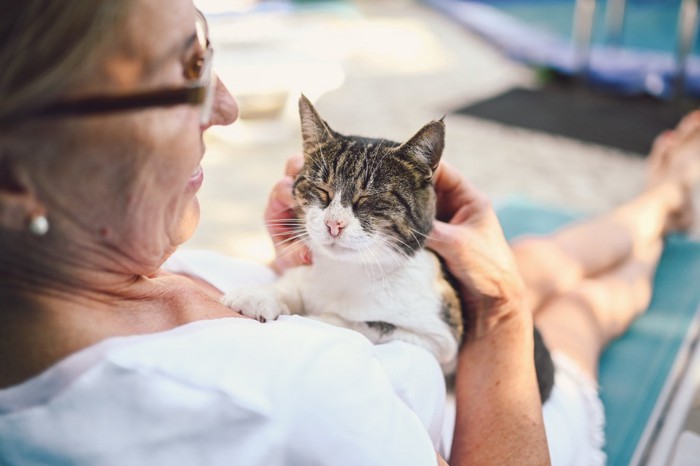 年配の女性に抱っこされる猫