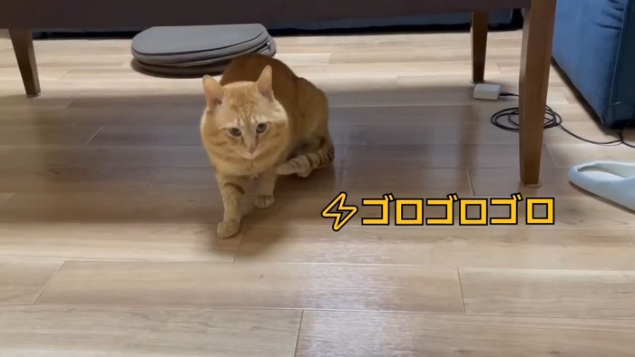 ゴロゴロゴロ