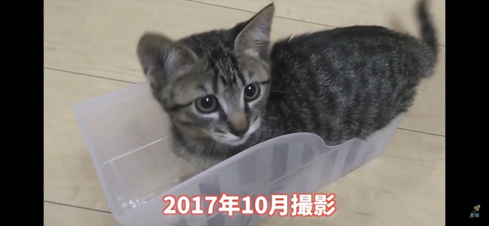 小さい頃