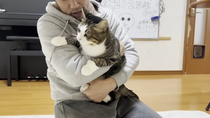 男性が猫を抱きしめようとしている様子