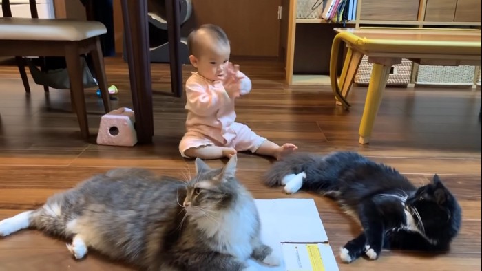 寝転がる2匹の猫と座る赤ちゃん