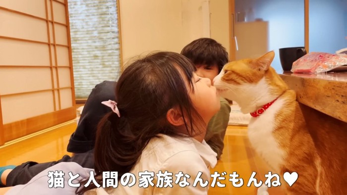 子供の顔をなめる猫