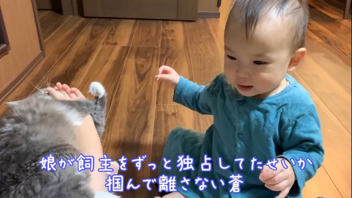 飼い主の手を独占する猫と座っている赤ちゃん