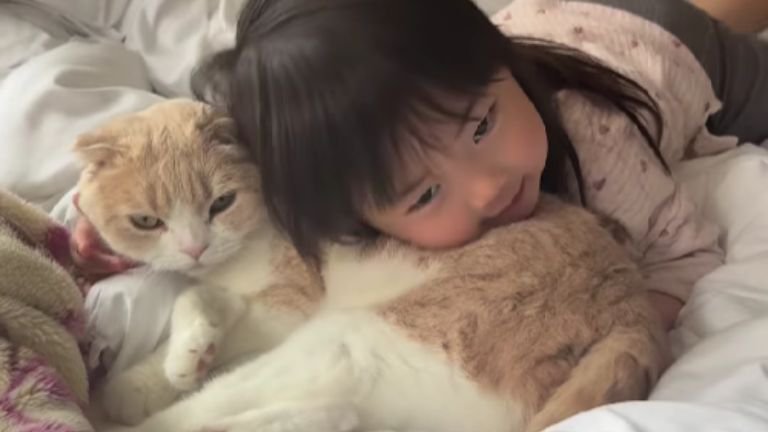 猫と女の子