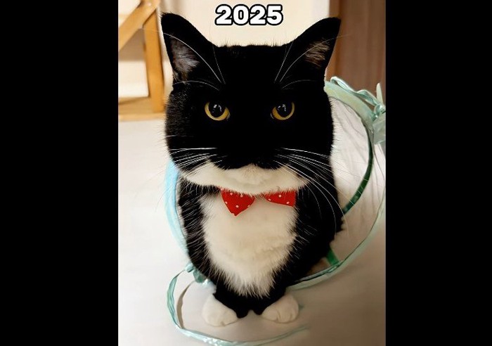 2025 (少しアップ)