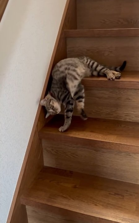 手は使う