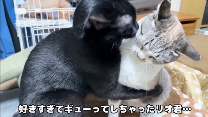 ギュー