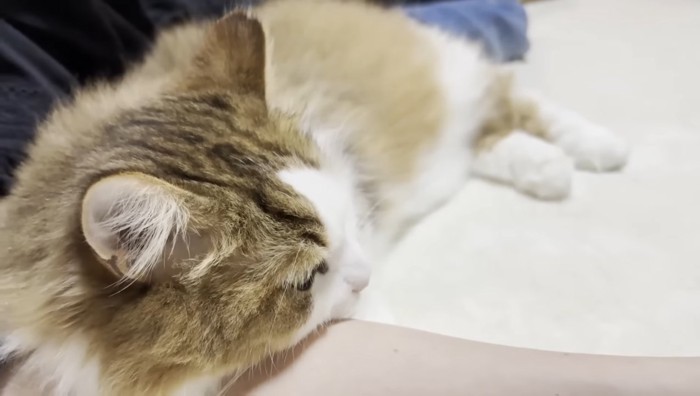 腕枕のアップ