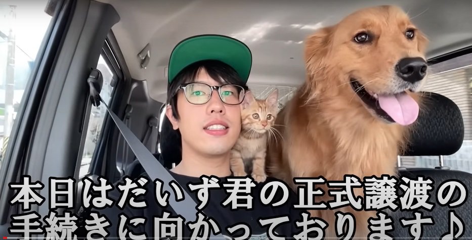 男性と子猫と犬