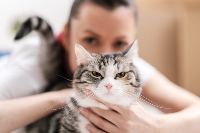 女性に撫でられて不機嫌な猫